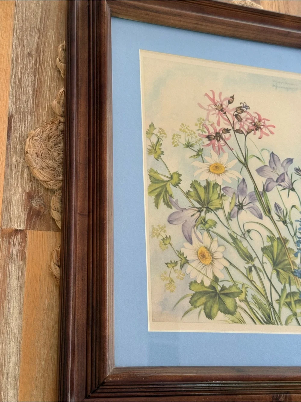 Framed Botanical Print with Blue Mat and Warm Wood Frame